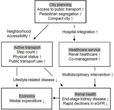 Renal Health Benefits of Rural City Planning in Japan